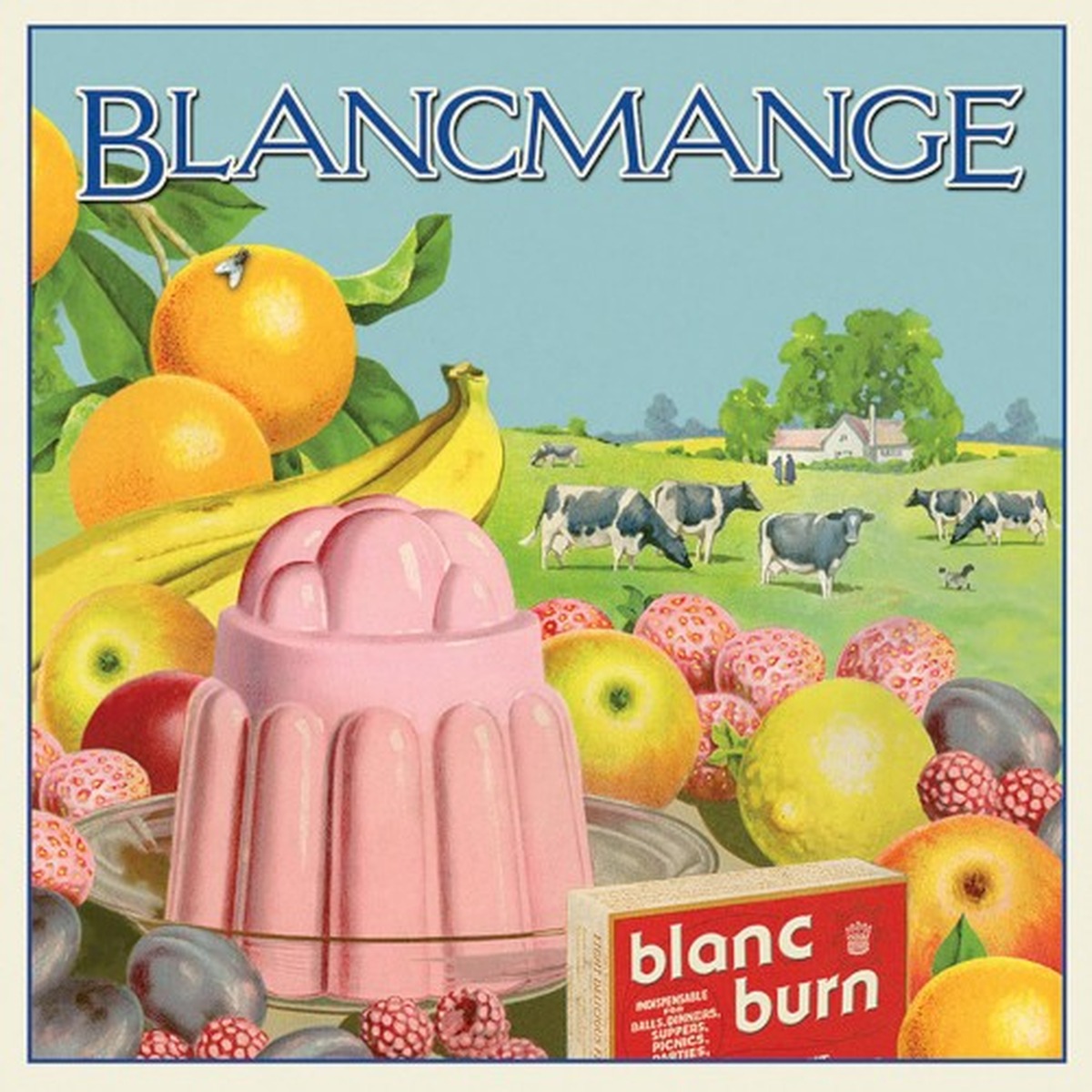 Blanc Burn by Blancmange album cover
