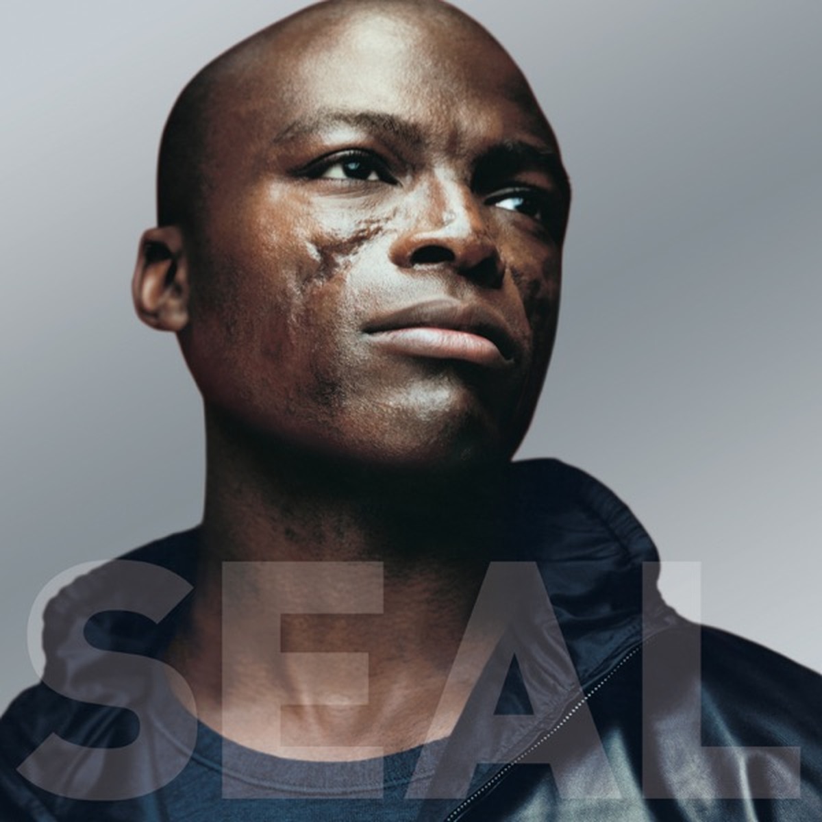 Seal IV by Seal album cover