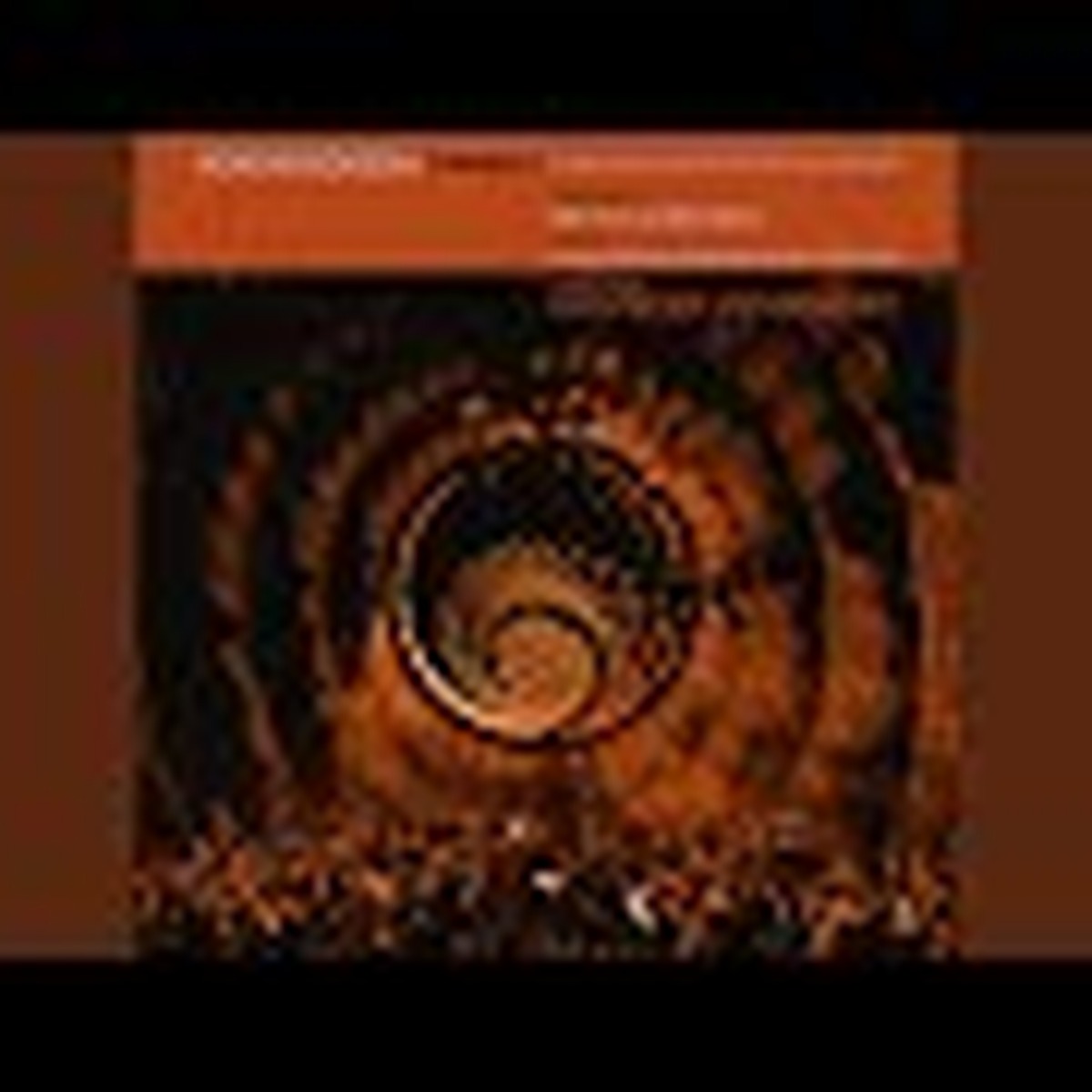 Henryk Górecki: Symphony No. 3 by Beth Gibbons and Rustin Man