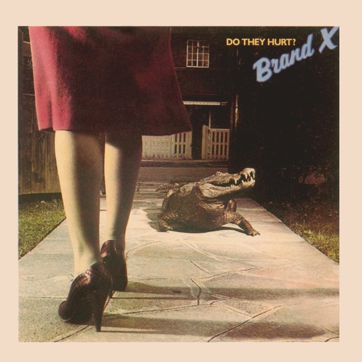 Do They Hurt? by Brand X album cover