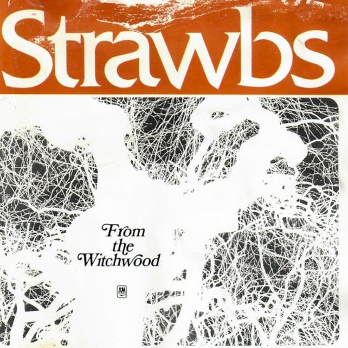 From the Witchwood by Strawbs album cover