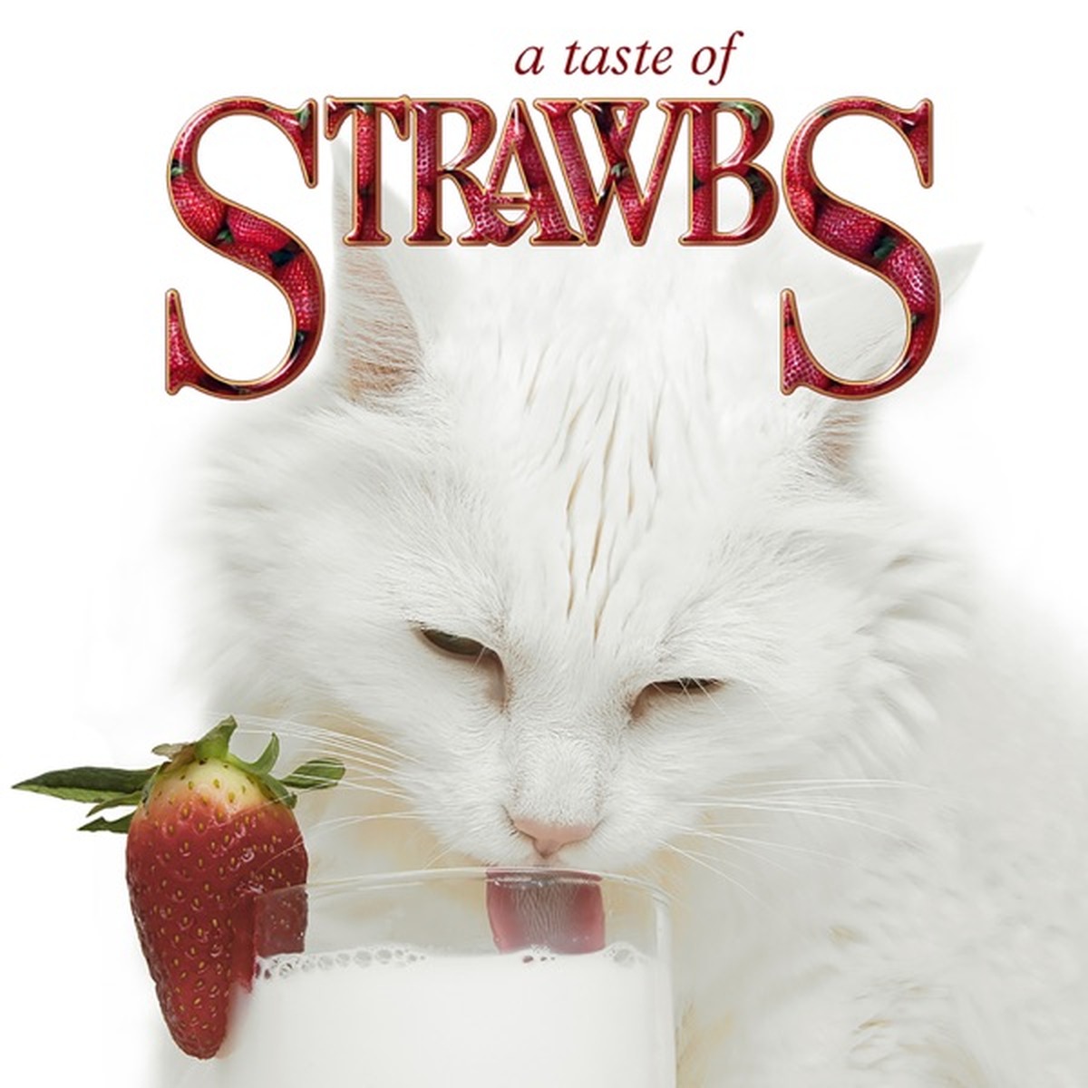 Grave New World by Strawbs