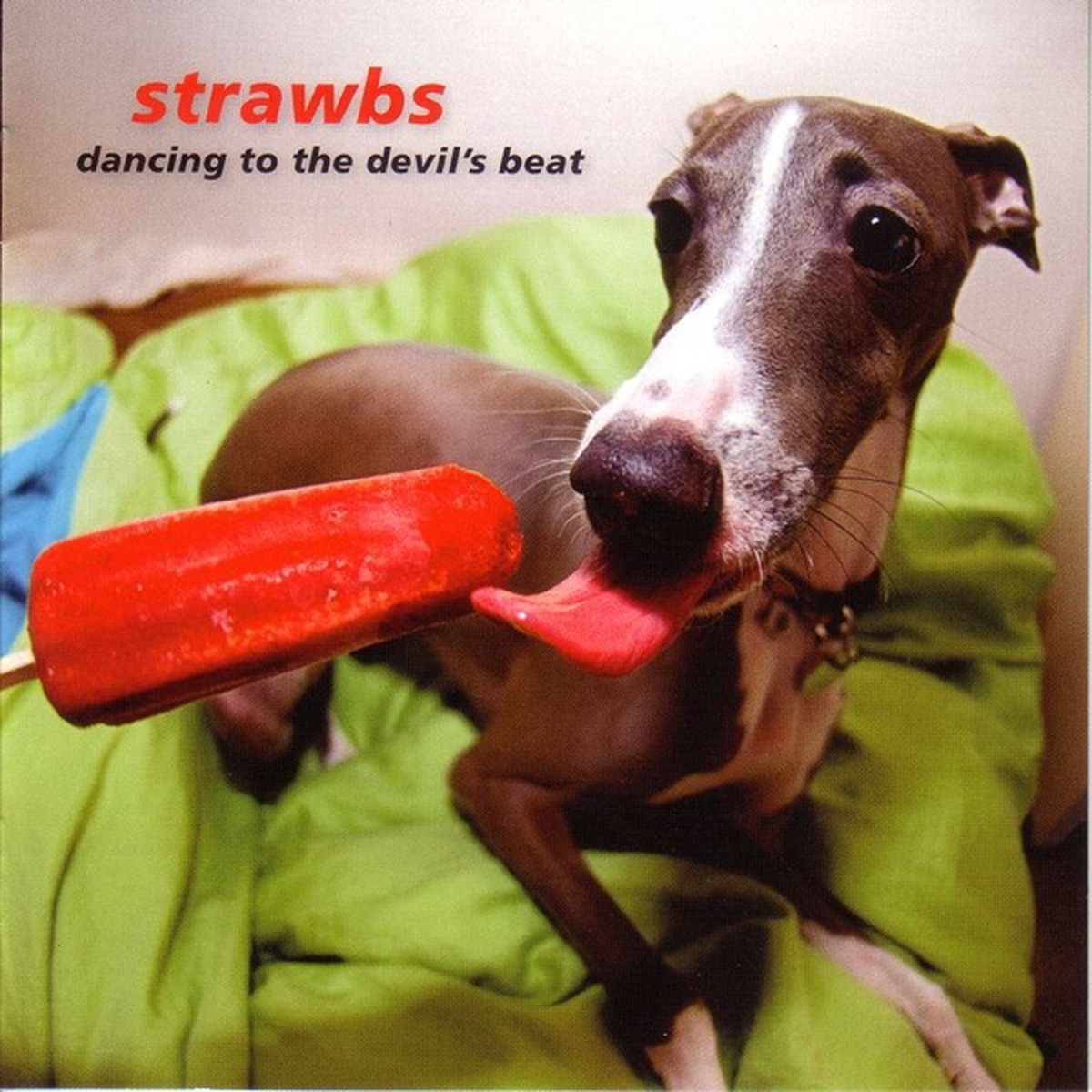 Dancing to the Devil's Beat by Strawbs album cover