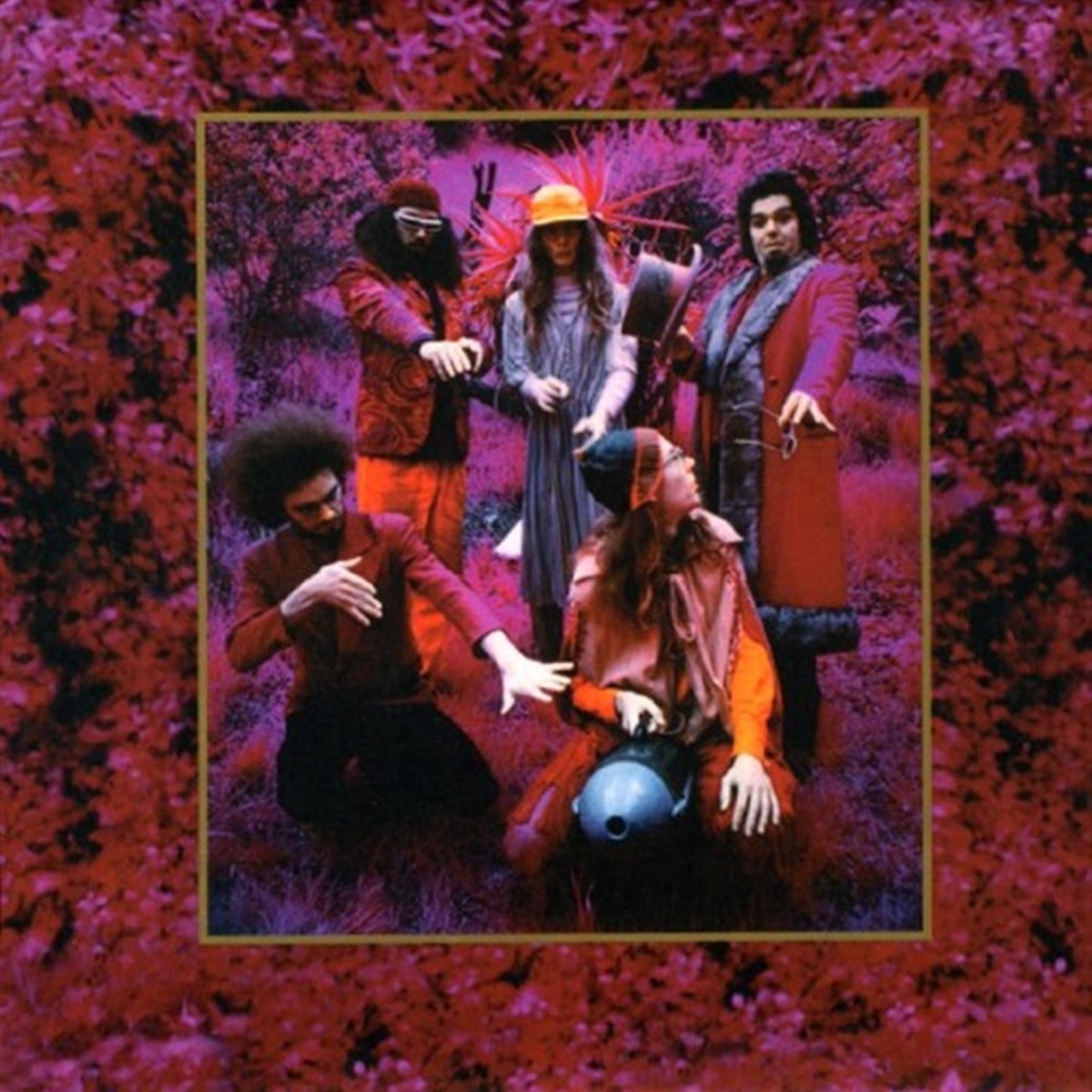 Grow Fins: Rarities 1965–1982 by Captain Beefheart album cover