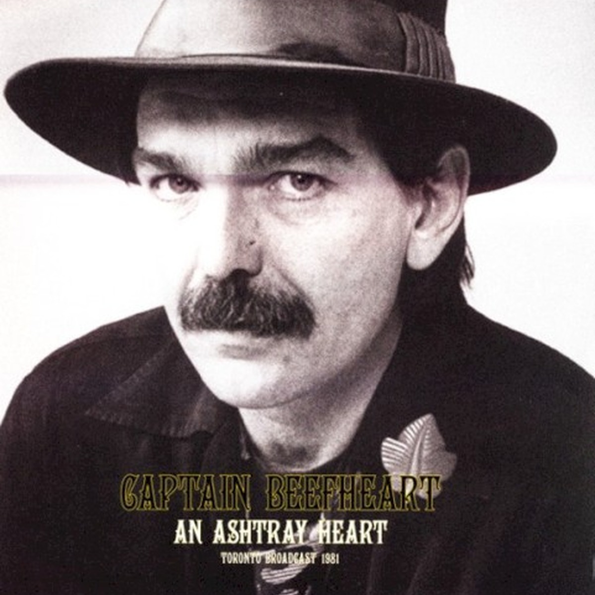 An Ashtray Heart by Captain Beefheart