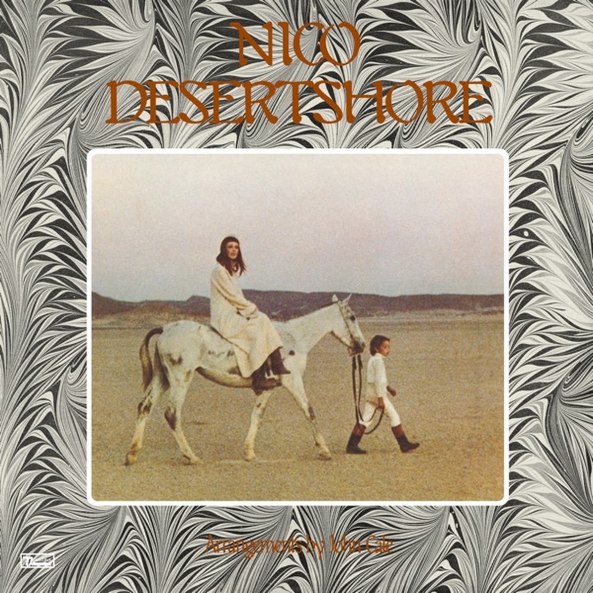 Desertshore by Nico album cover
