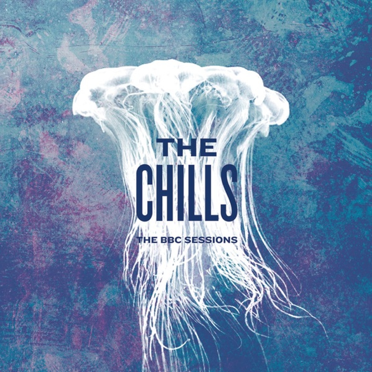 The BBC Sessions by The Chills album cover