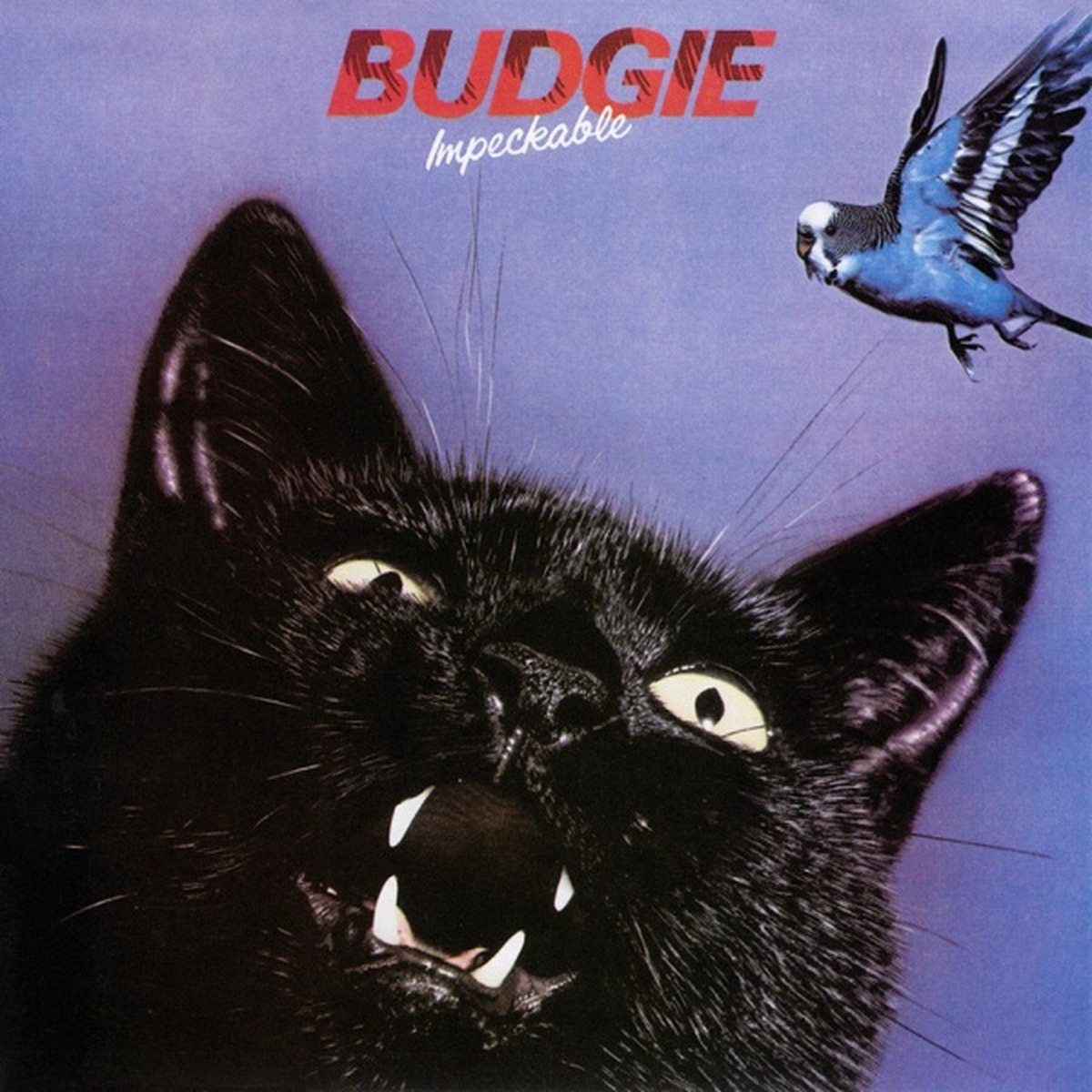 Impeckable by Budgie album cover