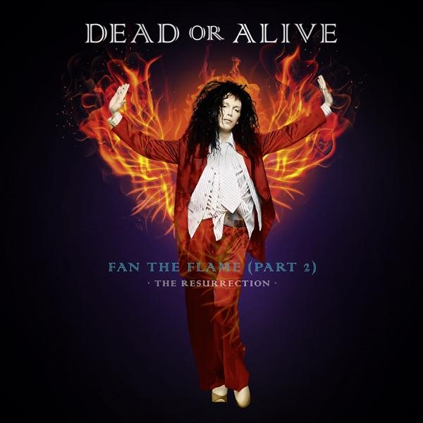 "Fan the Flame (Part 2)" by Dead or Alive, released in November 22, 1990