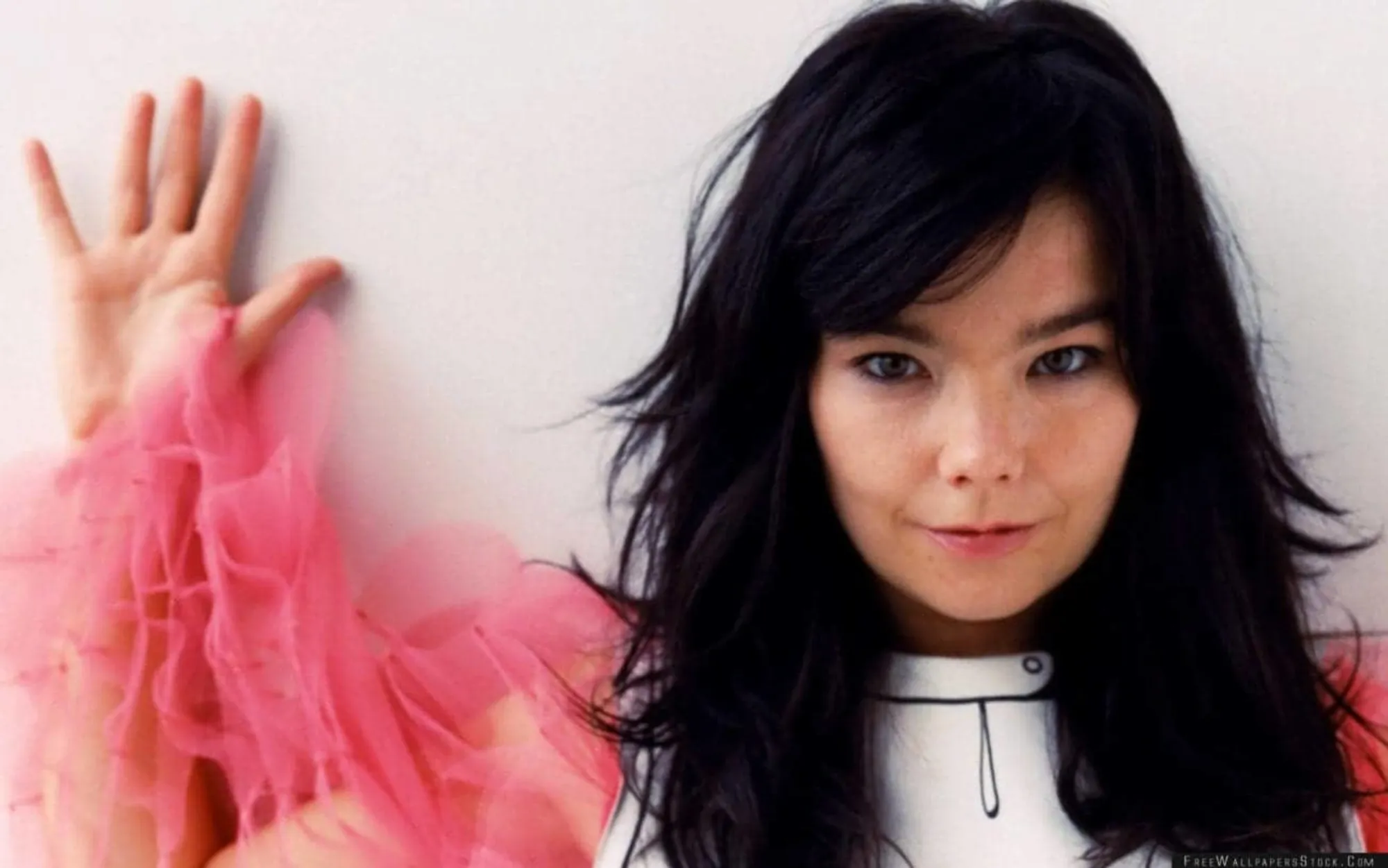 Björk Guðmundsdóttir
