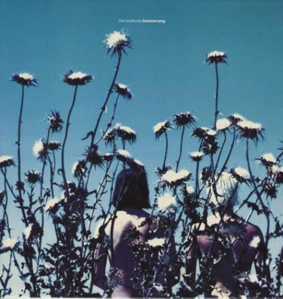"Boomerang" by The Creatures - Released on November 06, 1989