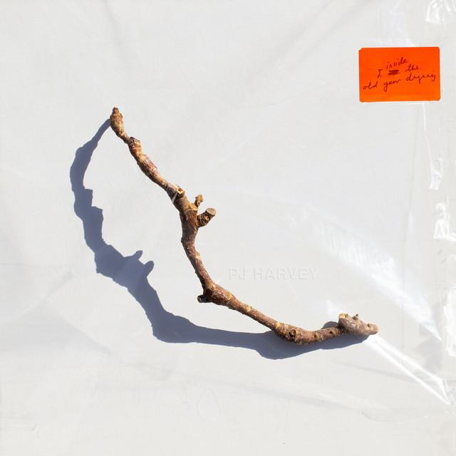 "I Inside the Old Year Dying" by PJ Harvey